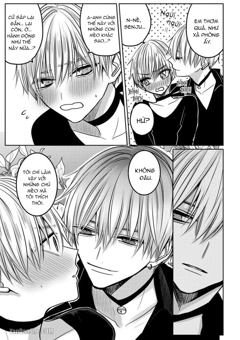 Hãy đến và chiếm lấy những đêm không ngủ của tôi Chapter 1 Trang 24