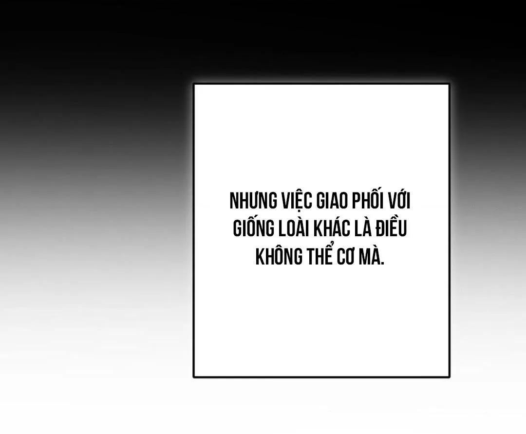 Hãy khóc đi đừng ngại ngùng! Chapter 33 Trang 25