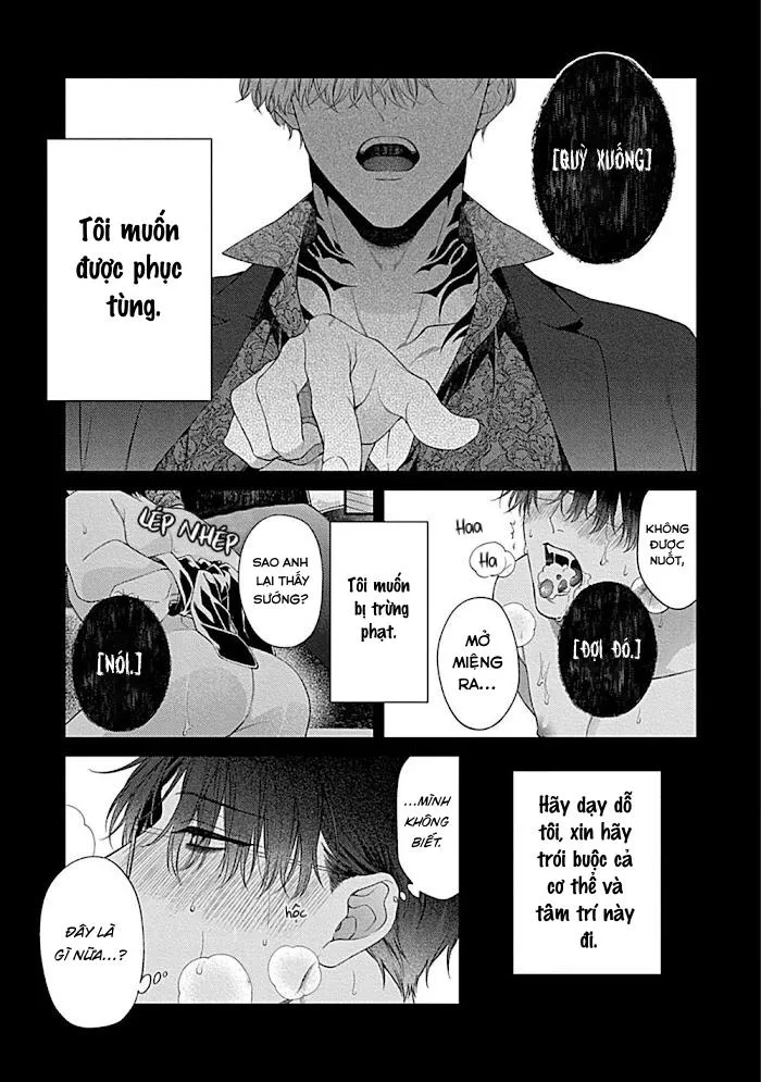 Hãy Kỉ Luật Em Bằng Tình Yêu Của Anh Đi Chapter 1 Trang 5