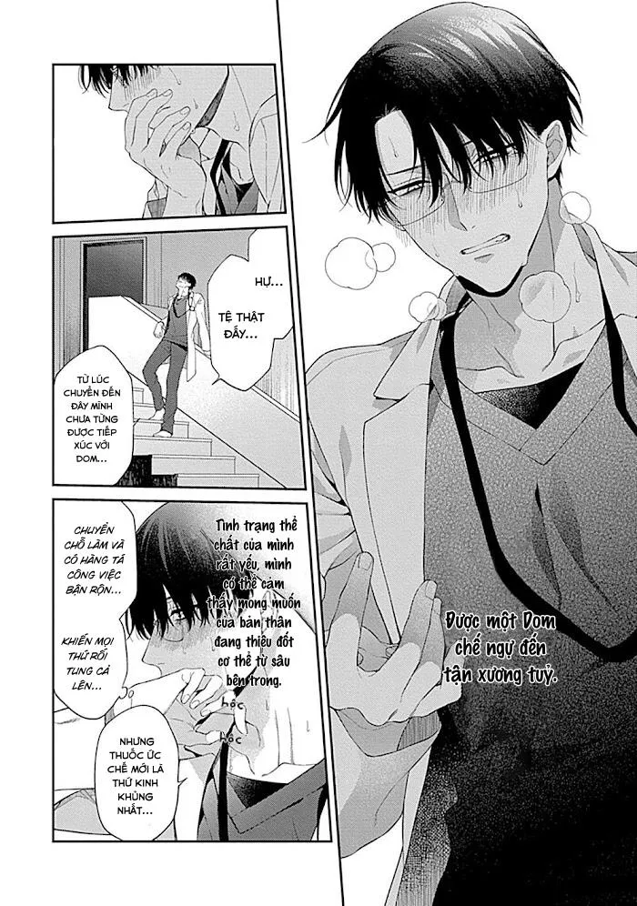 Hãy Kỉ Luật Em Bằng Tình Yêu Của Anh Đi Chapter 1 Trang 12