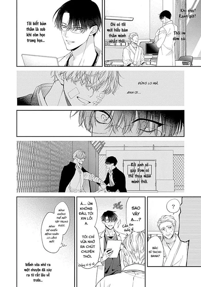 Hãy Kỉ Luật Em Bằng Tình Yêu Của Anh Đi Chapter 1 Trang 14
