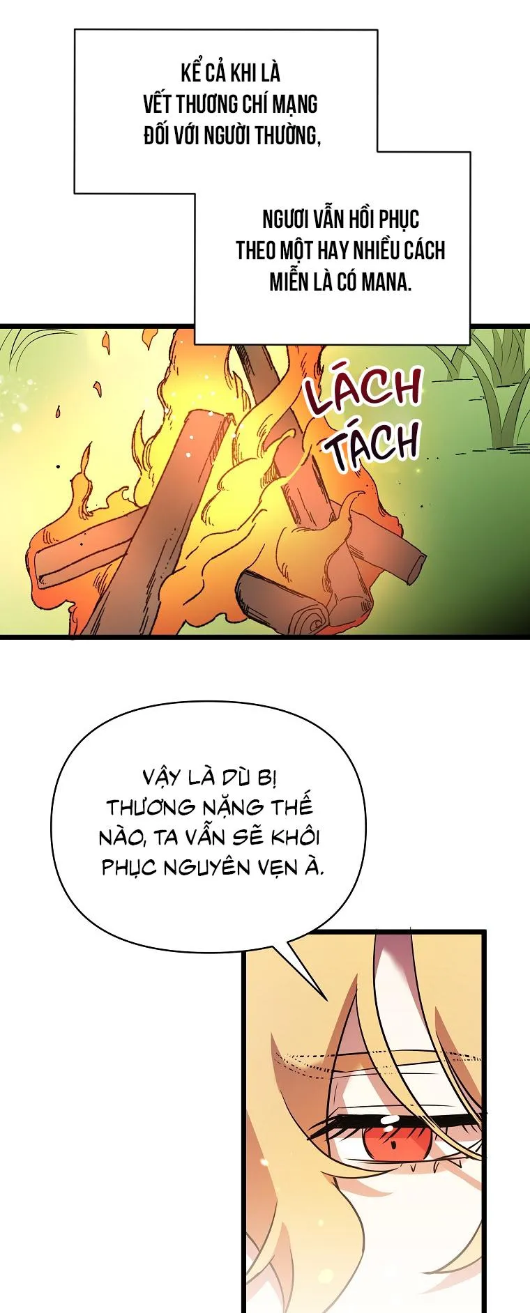 Hãy Lựa Chọn Anh Hùng Của Bạn Thật Cẩn Thận Chapter 10 Trang 13