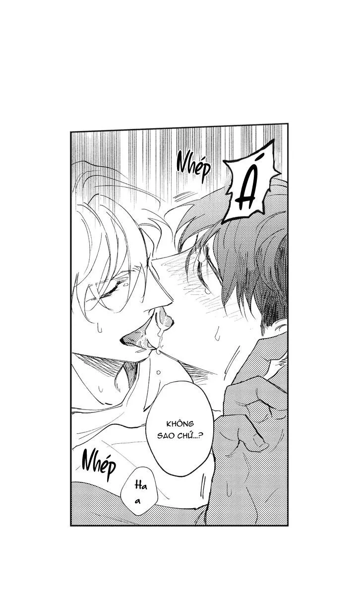 HEALING PARADOX Chapter 12 Trang 3