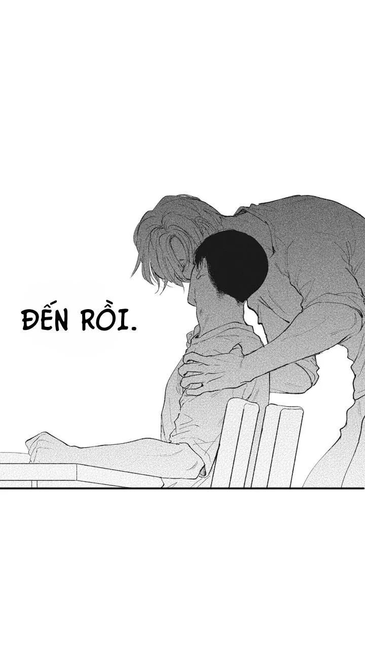 HEALING PARADOX Chapter 15 Trang 3
