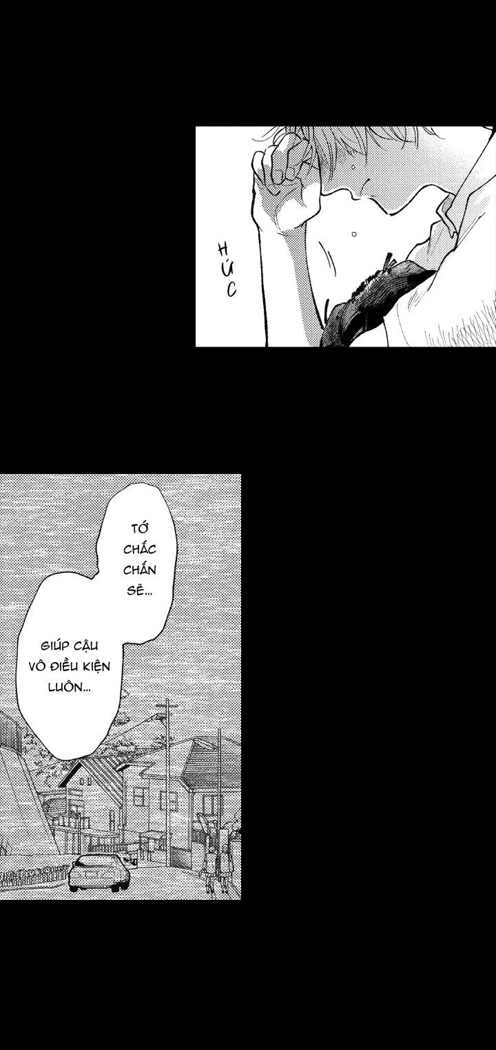 HEALING PARADOX Chapter 16 Trang 7