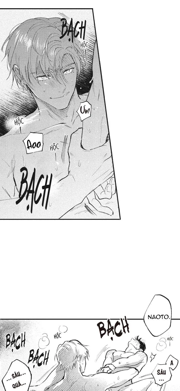 HEALING PARADOX Chapter 19 Trang 3