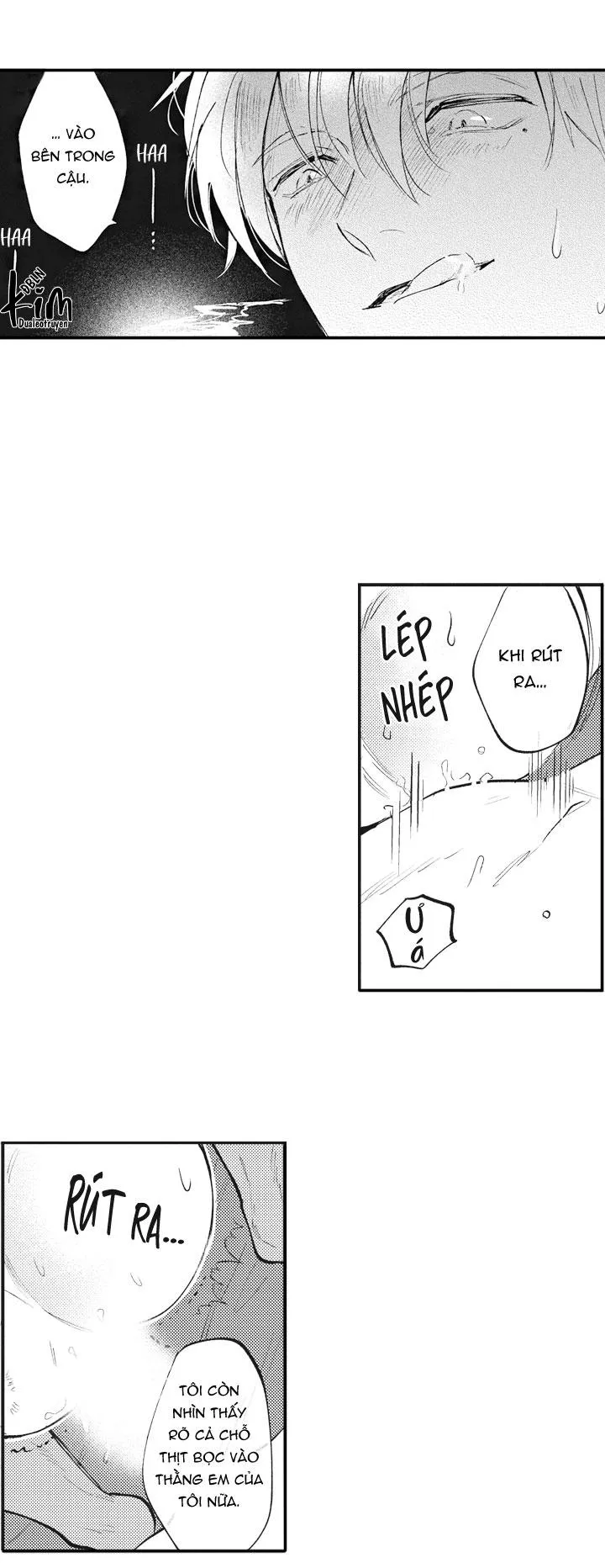 HEALING PARADOX Chapter 20 Trang 15