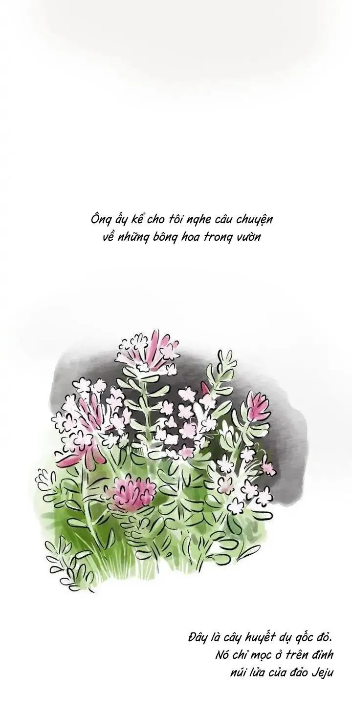 Hẹn Gặp Lại Chapter 7 Trang 31