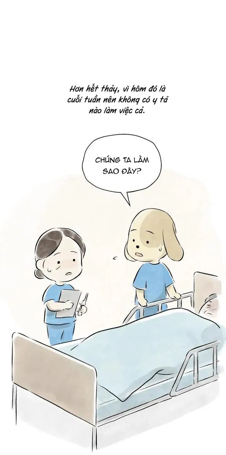 Hẹn Gặp Lại Chapter 14 Trang 49