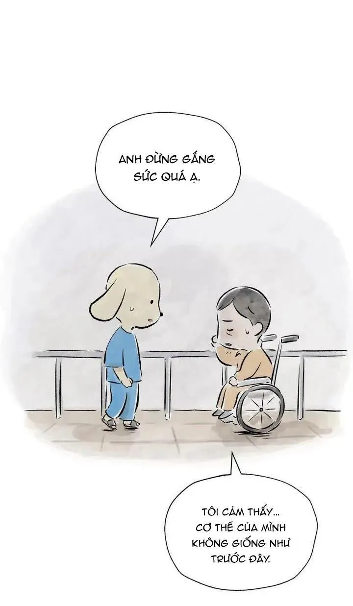 Hẹn Gặp Lại Chapter 15 Trang 5