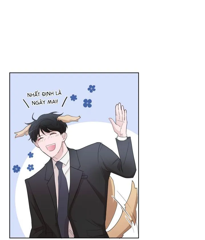 Hẹn hò chốn công sở Chapter 5 Trang 44