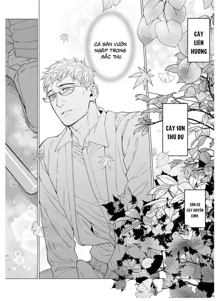 TIỂU THUYẾT GIA CỐ CHẤP BỊ NHUỐM MÀU BỞI TÌNH YÊU Chapter 3 Trang 12