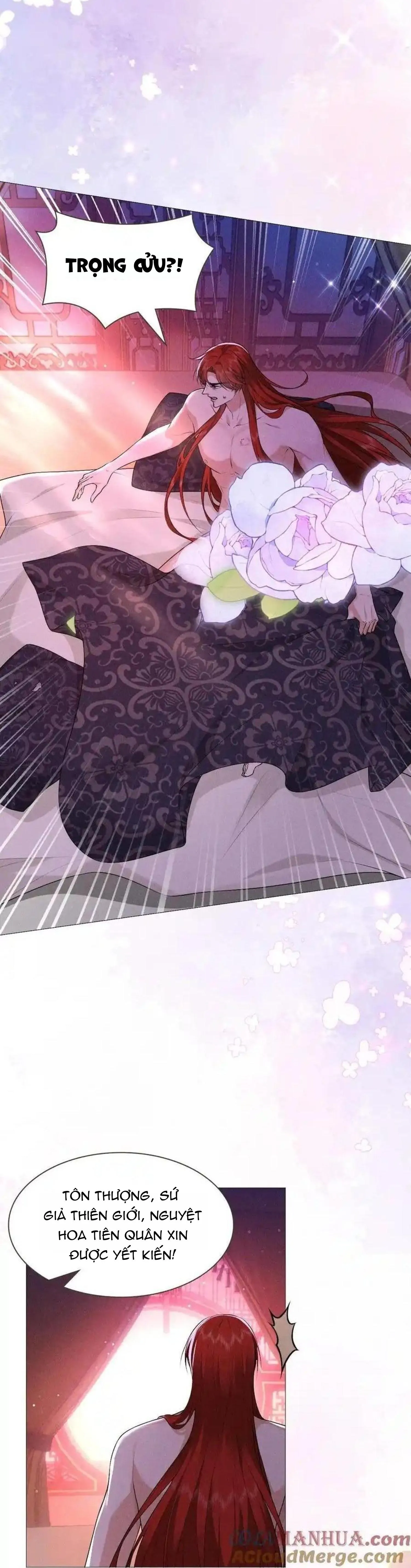 Hỉ Sự Của Đế Quân Chapter 23 Trang 5