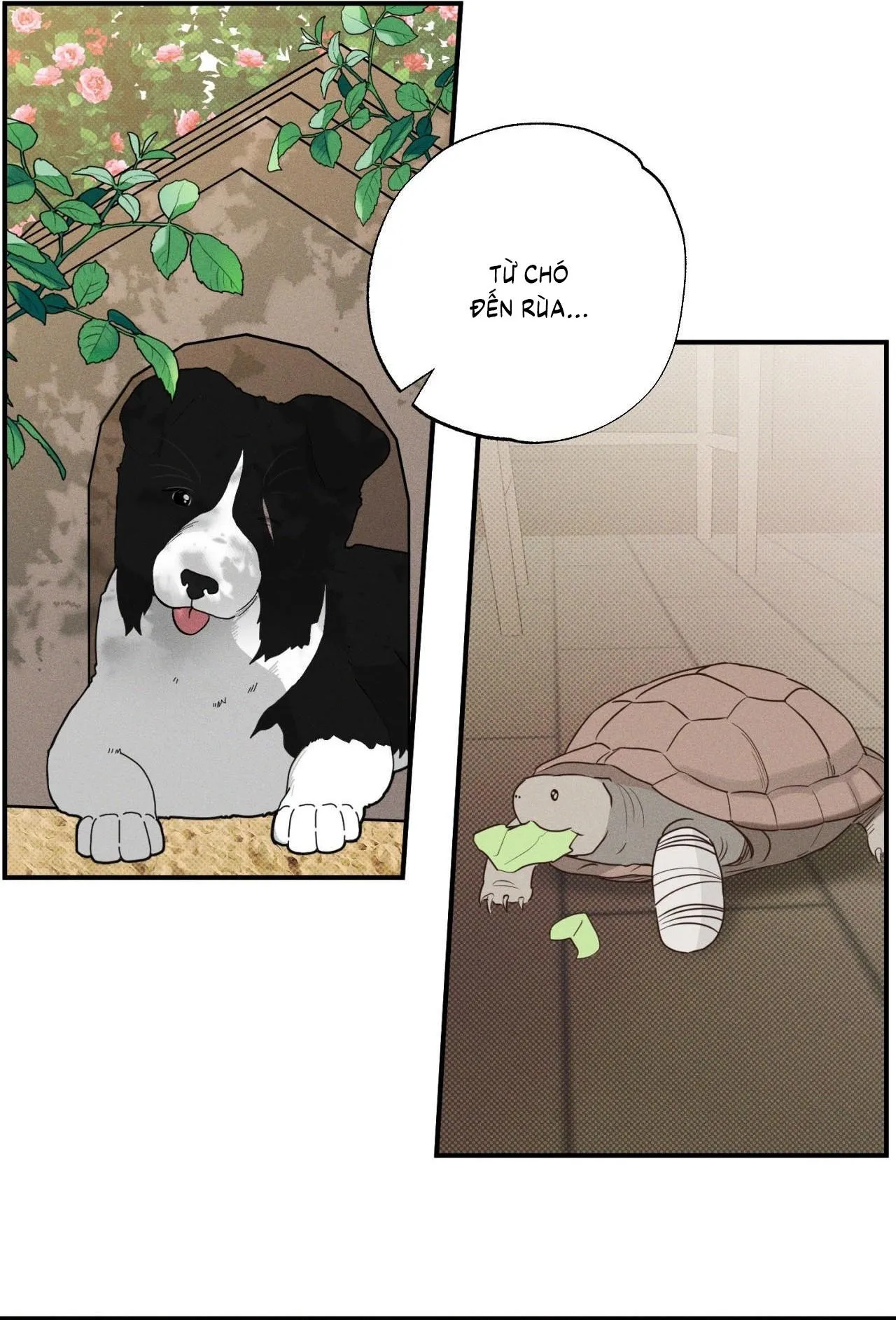 Đầm Lầy Của Nhân Ngư Chapter 24 Trang 48