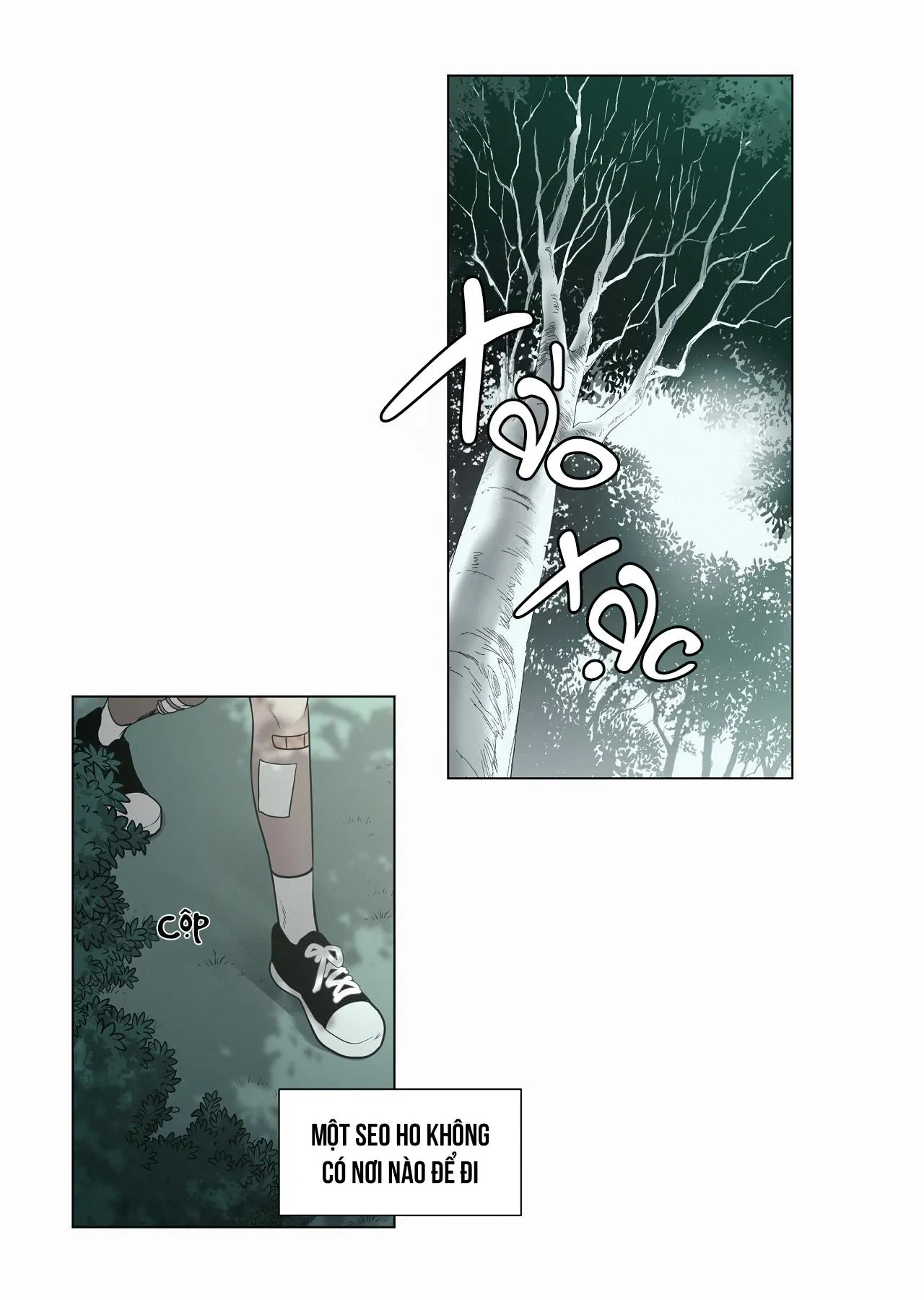 Hiến tế máu Chapter 28 Trang 11