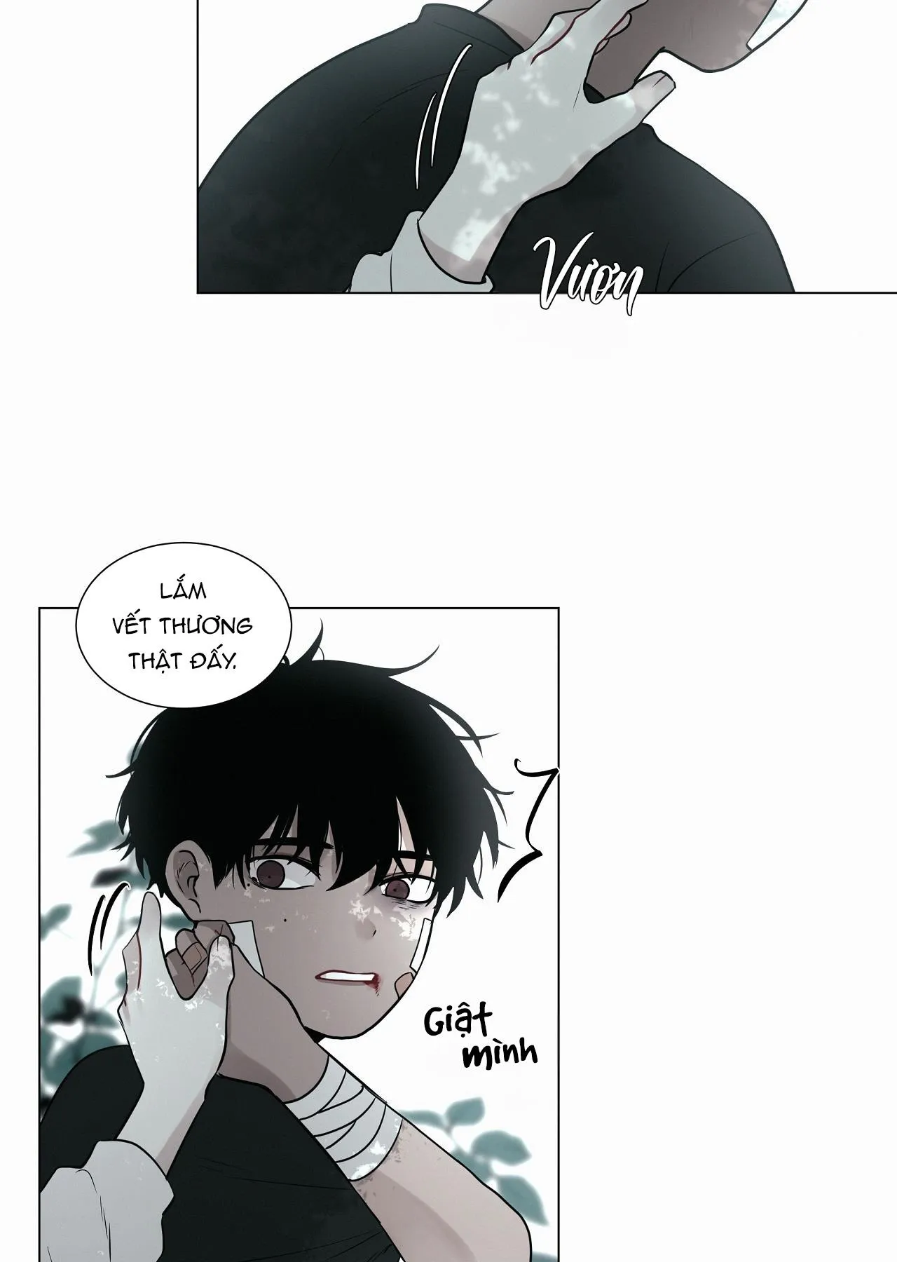 Hiến tế máu Chapter 28 Trang 19