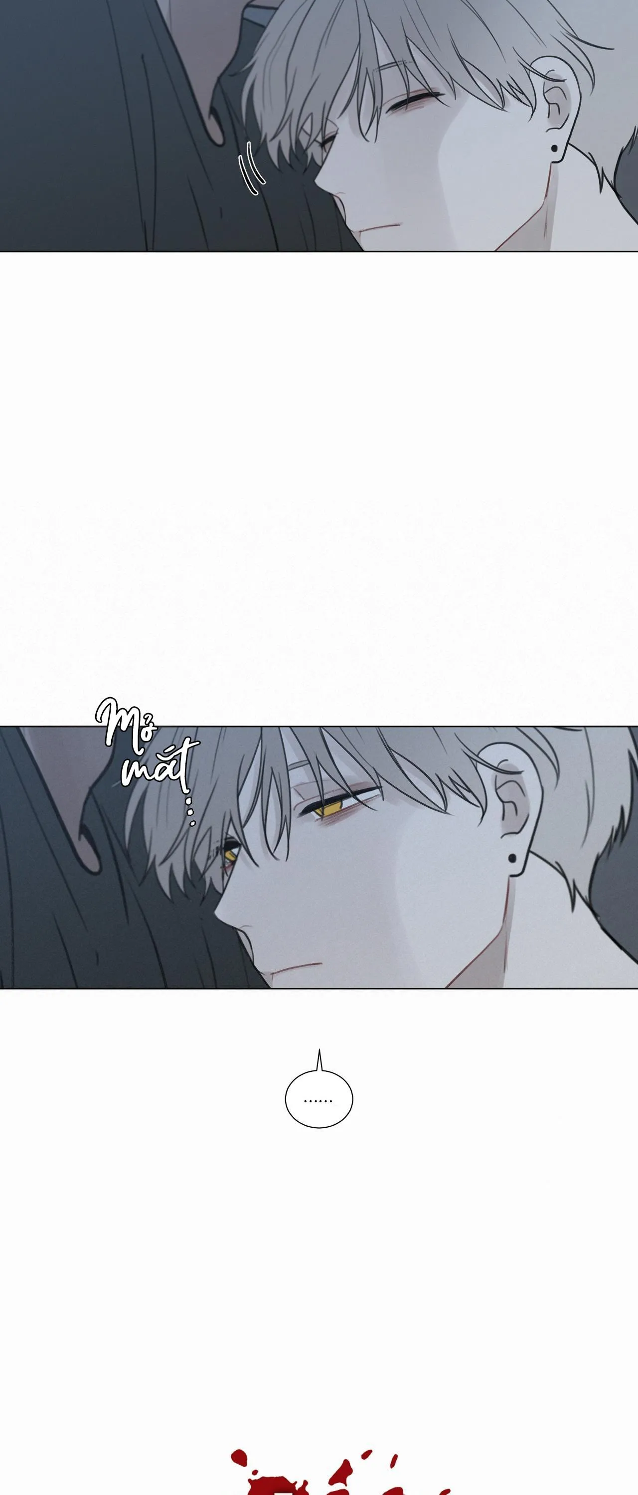 Hiến tế máu Chapter 43 Trang 11