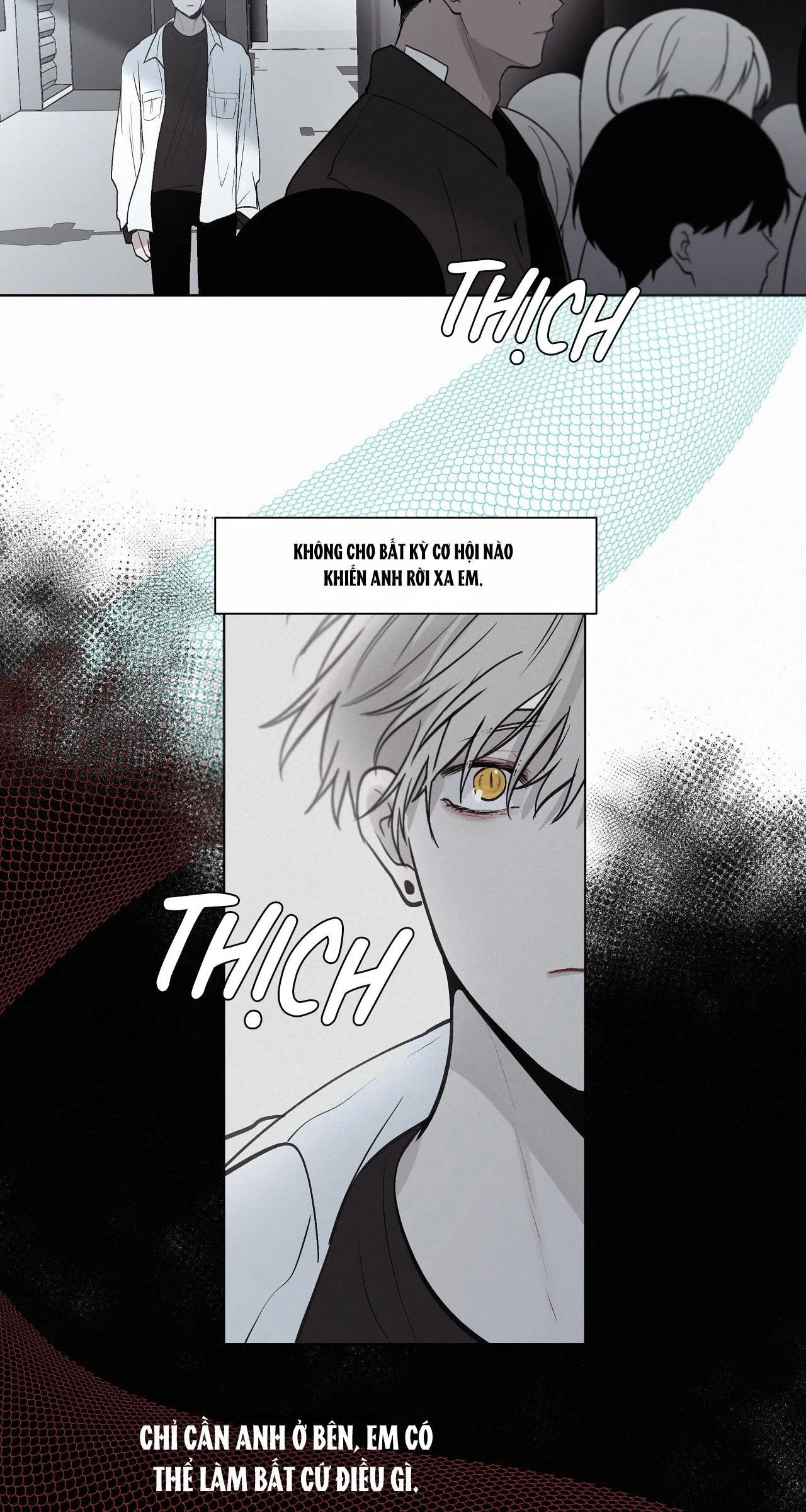 Hiến tế máu Chapter 49 Trang 19