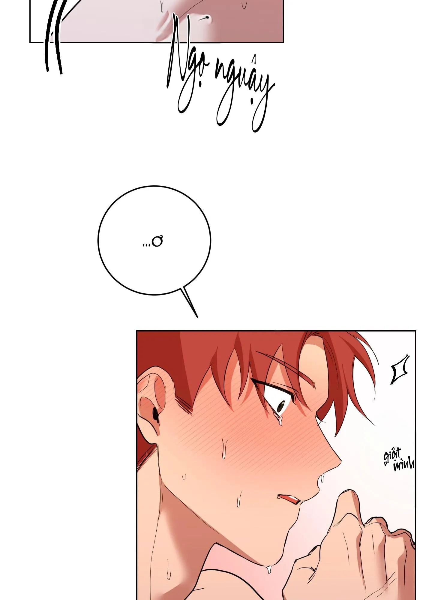 HIỂU LẦM  NGỌT NGÀO Chapter 5 Trang 48