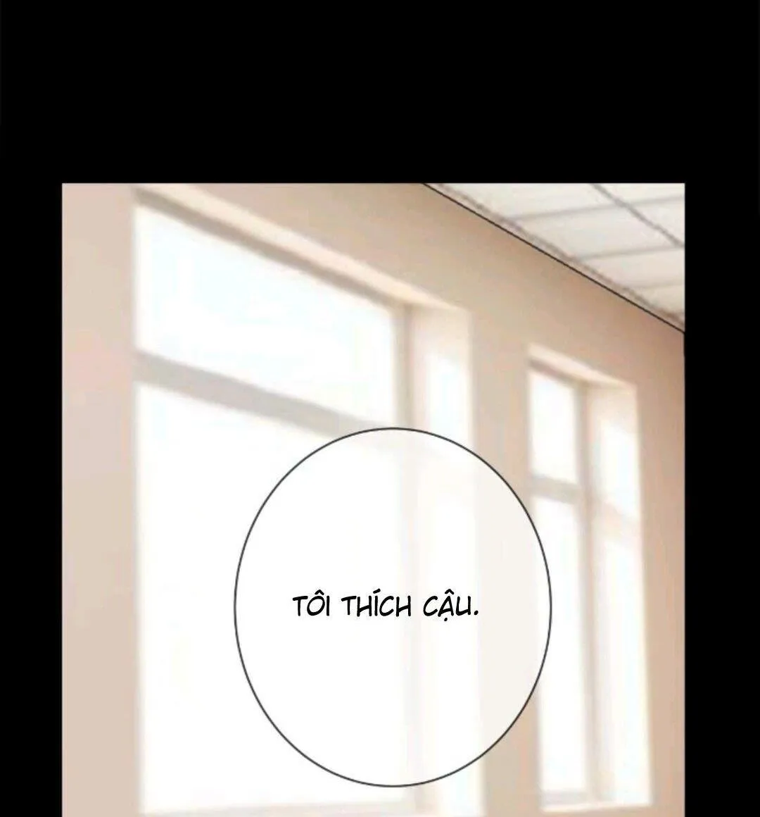 Hiệu Quả Kinh Doanh Chapter 16 Trang 3