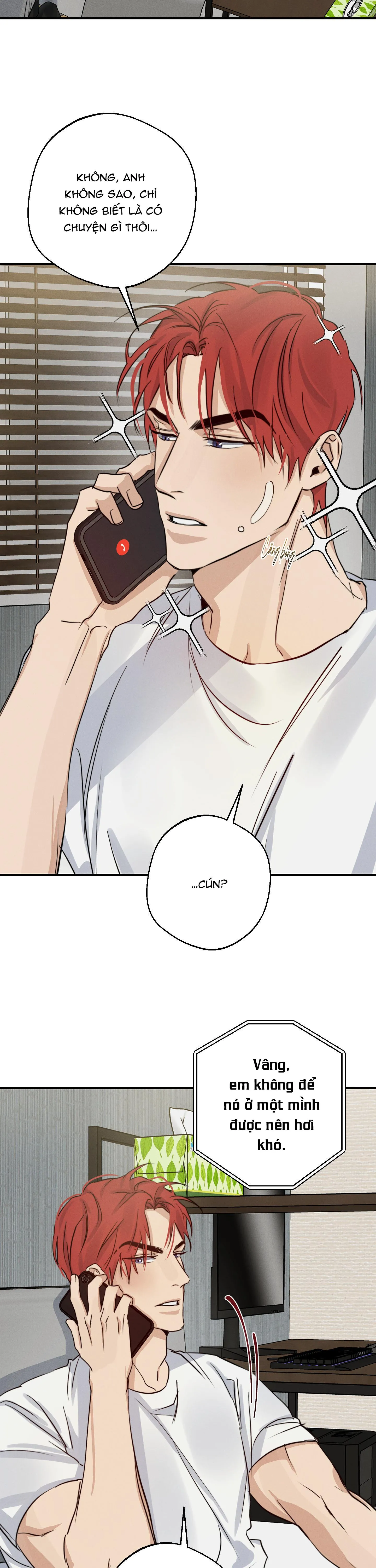 HIGH CLEAR Chapter 26 Trang 4