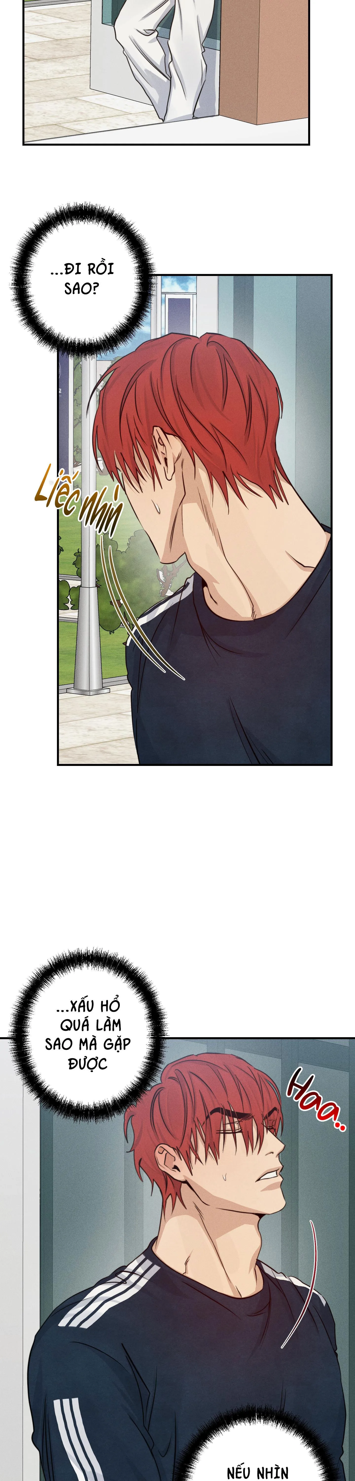 HIGH CLEAR Chapter 35 Trang 5