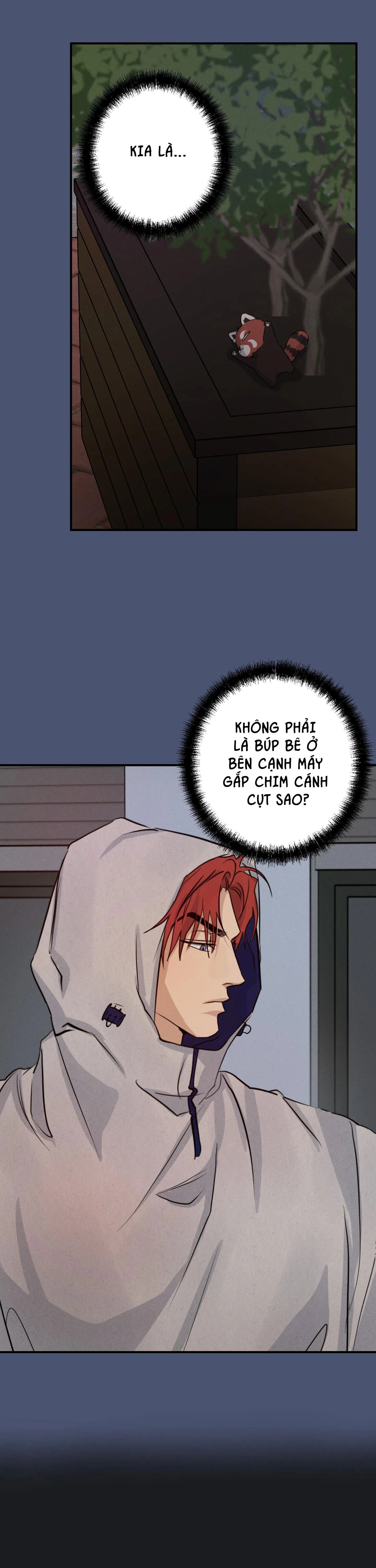 HIGH CLEAR Chapter 46 Trang 5