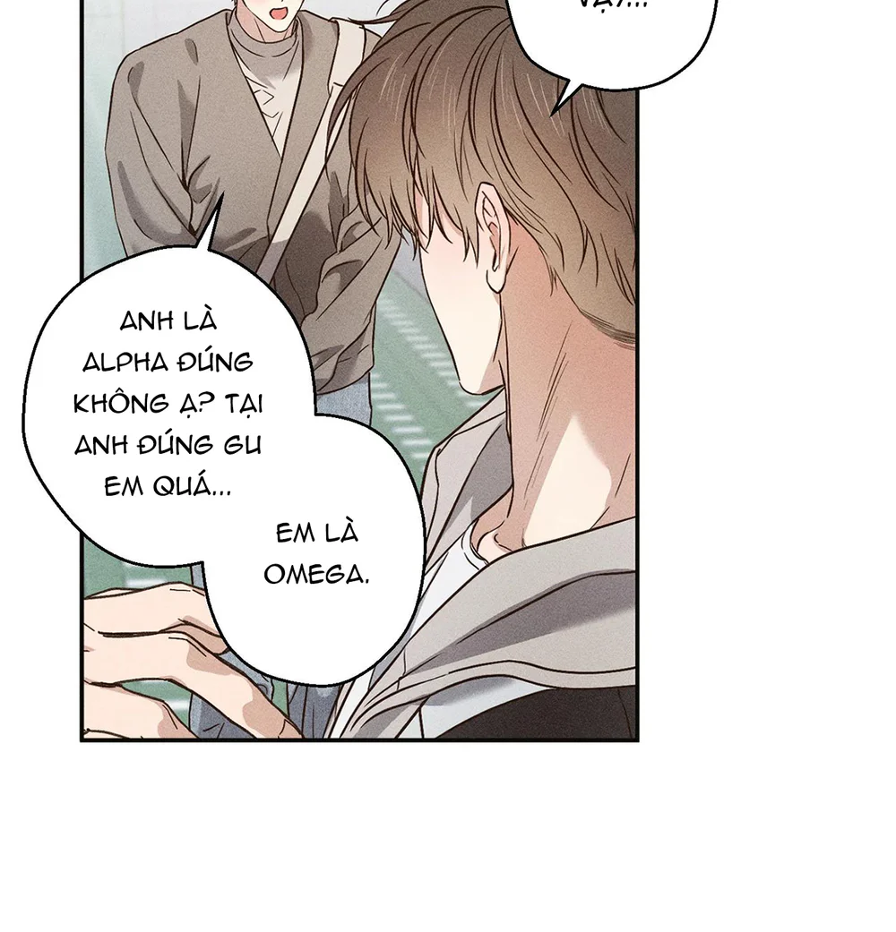 High School Salty Heart Chapter 1 Trang 14