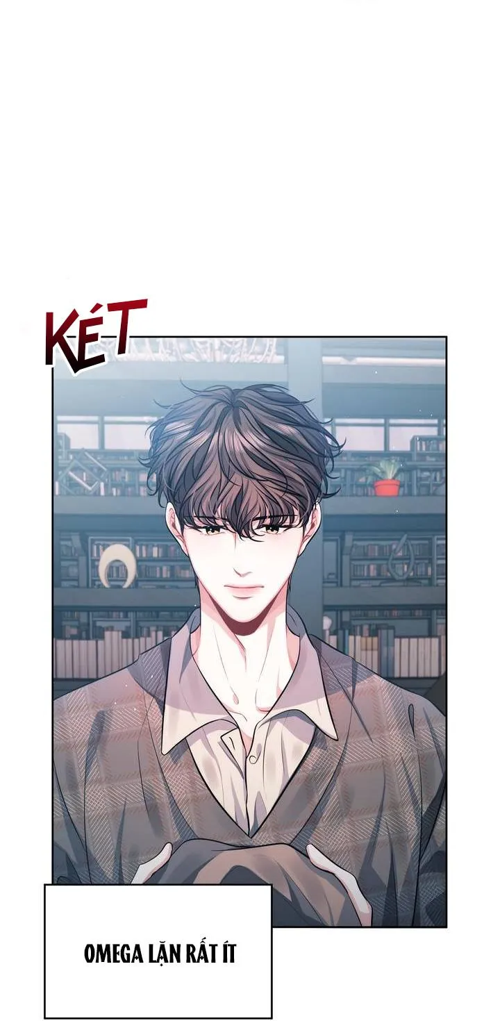 Hình Bóng Của Sự Tái Ngộ Chapter 1 Trang 53