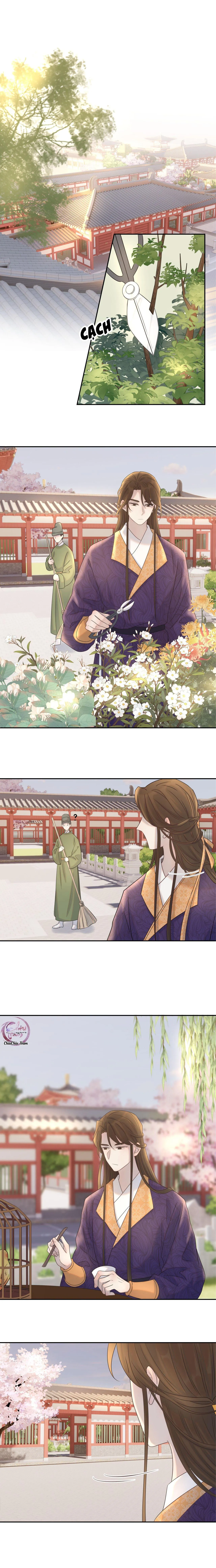 Hình Như Cầm Nhầm Kịch Bản Của Nữ Chính Rồi! (END) Chapter 26 Trang 5