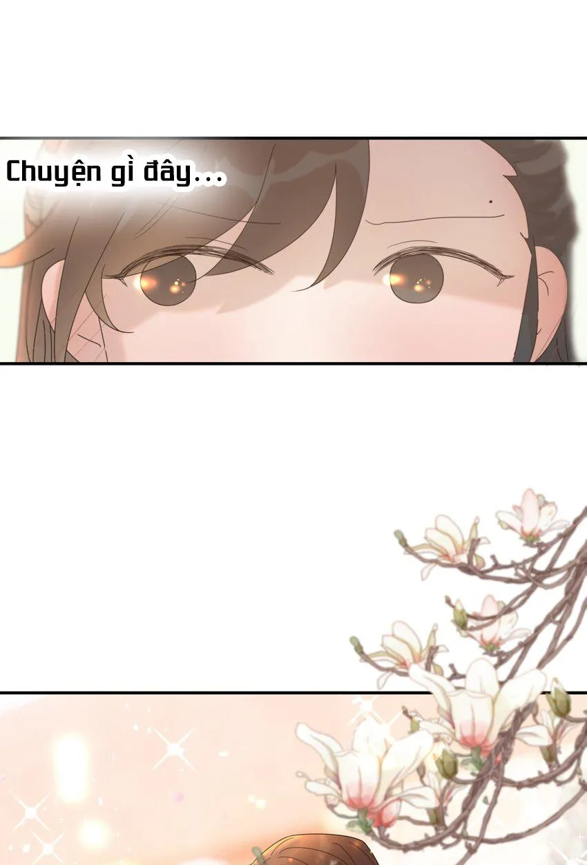 Hình Như Cầm Nhầm Kịch Bản Của Nữ Chính Rồi! (END) Chapter 61 Trang 16