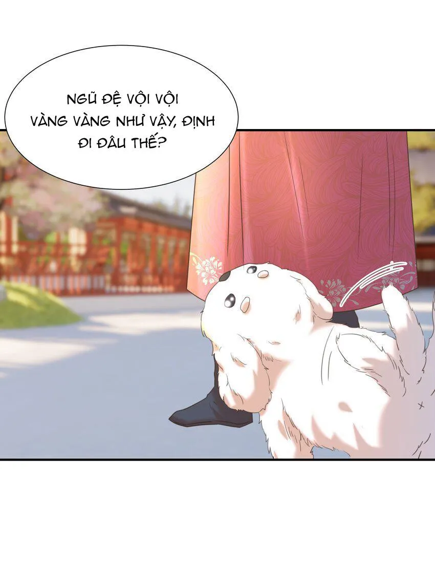 Hình Như Cầm Nhầm Kịch Bản Của Nữ Chính Rồi! (END) Chapter 65 Trang 42