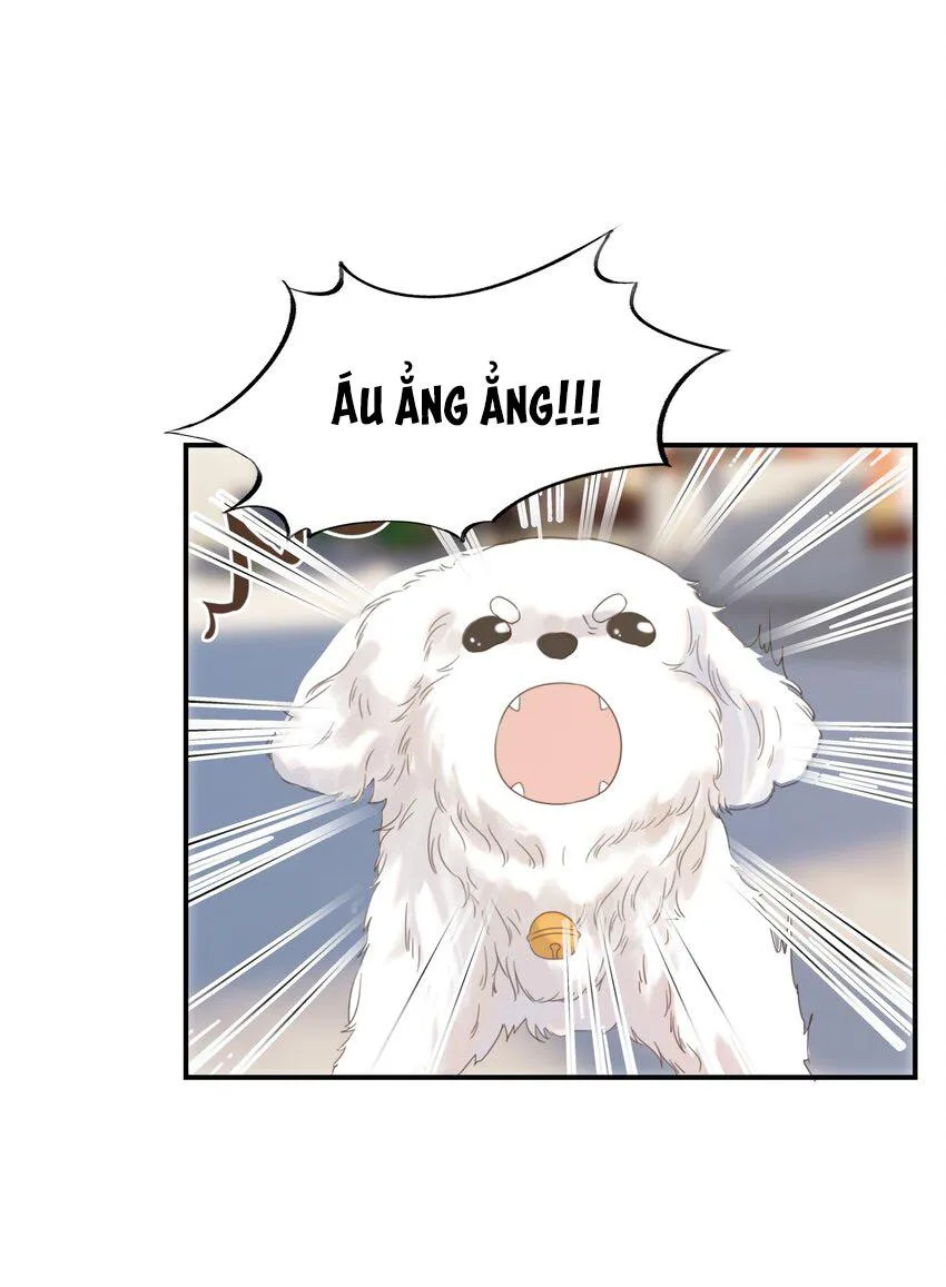 Hình Như Cầm Nhầm Kịch Bản Của Nữ Chính Rồi! (END) Chapter 65 Trang 45