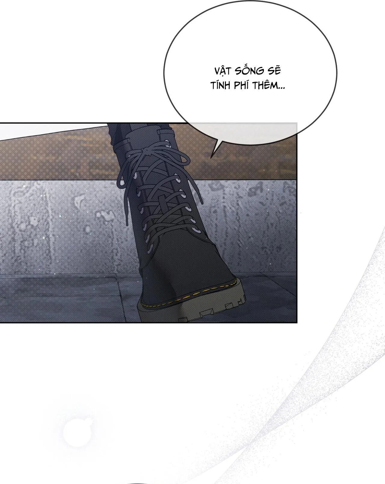 HÌNH THÁI TIẾN HÓA Chapter 2 Trang 49