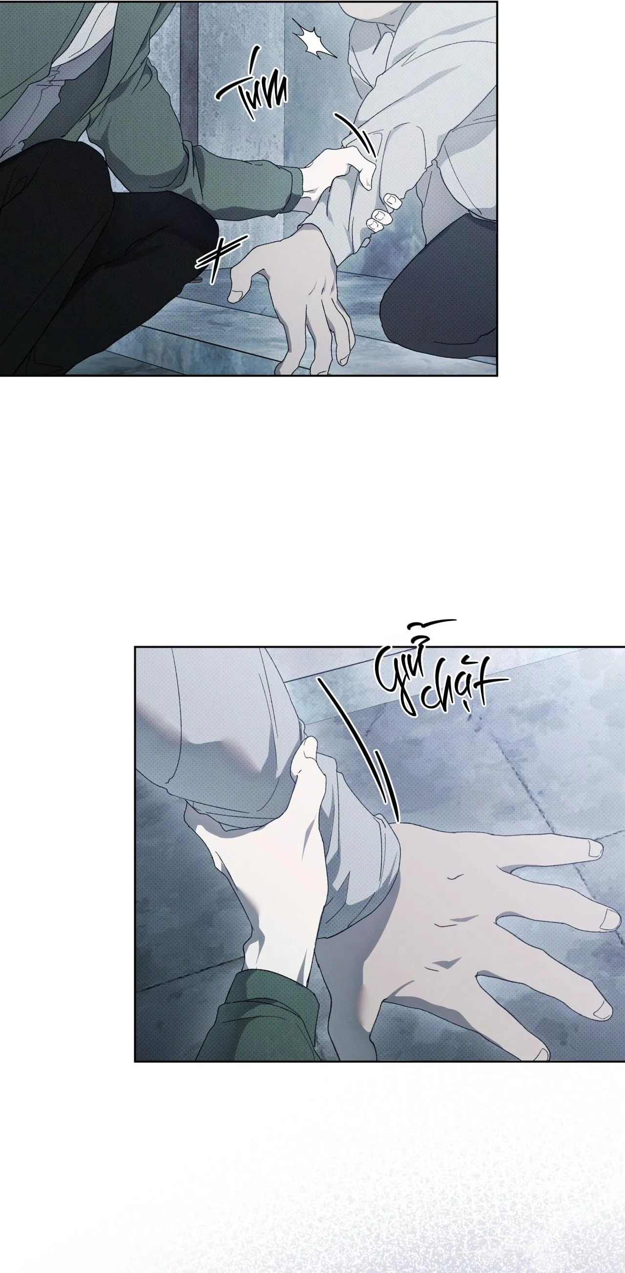 HÌNH THÁI TIẾN HÓA Chapter 3 Trang 37