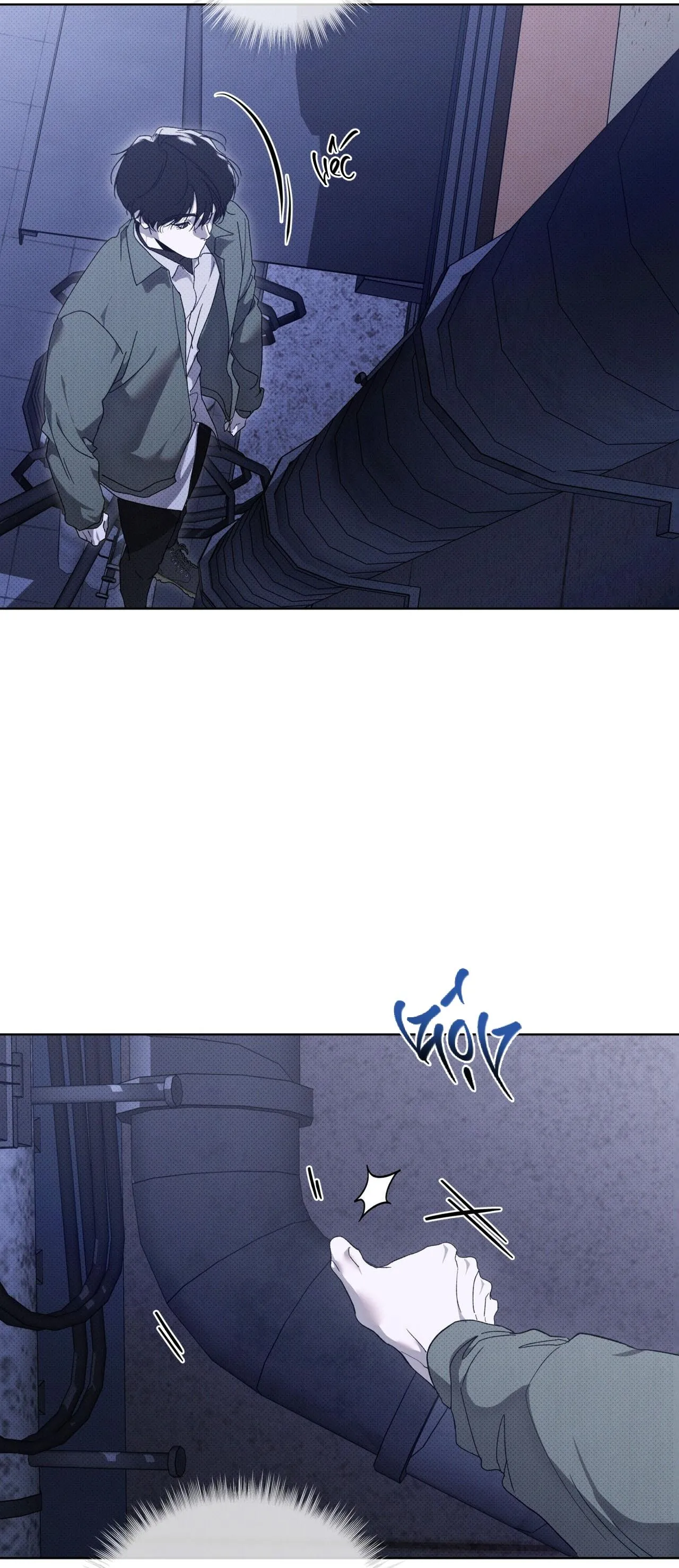 HÌNH THÁI TIẾN HÓA Chapter 4 Trang 13