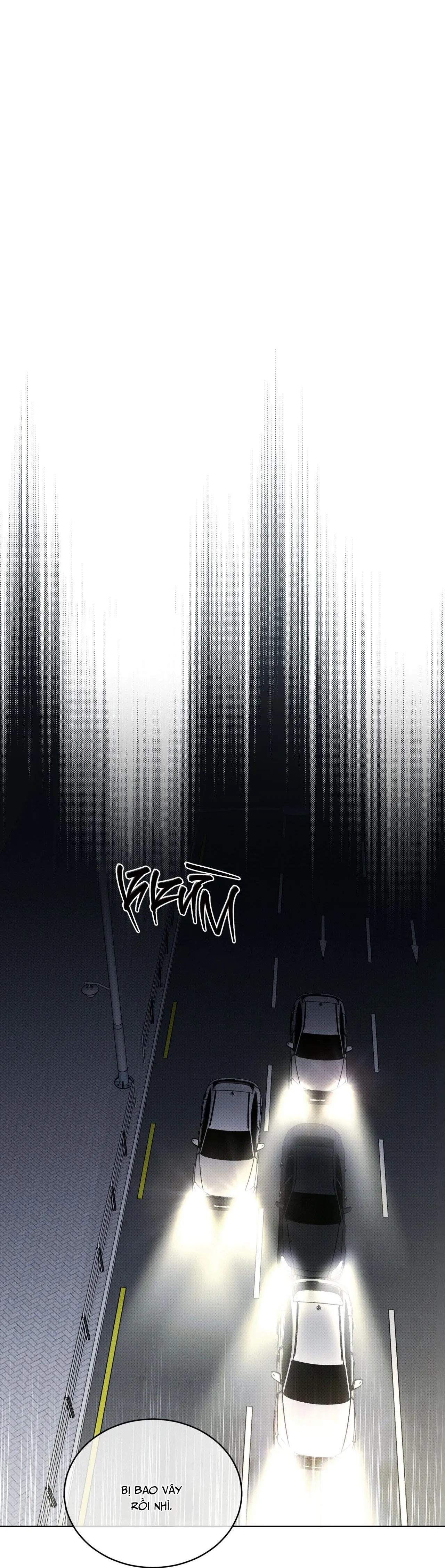 HÌNH THÁI TIẾN HÓA Chapter 12 Trang 24