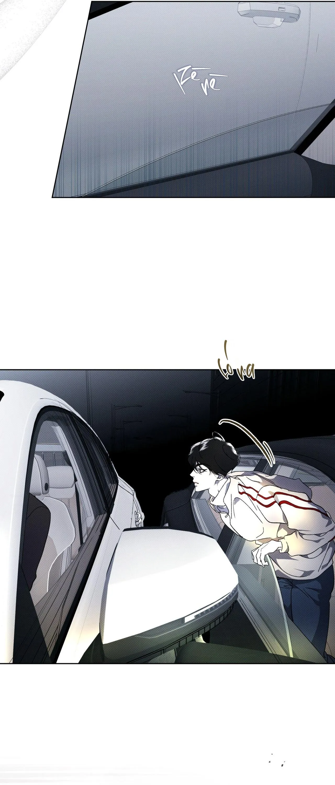 HÌNH THÁI TIẾN HÓA Chapter 12 Trang 37