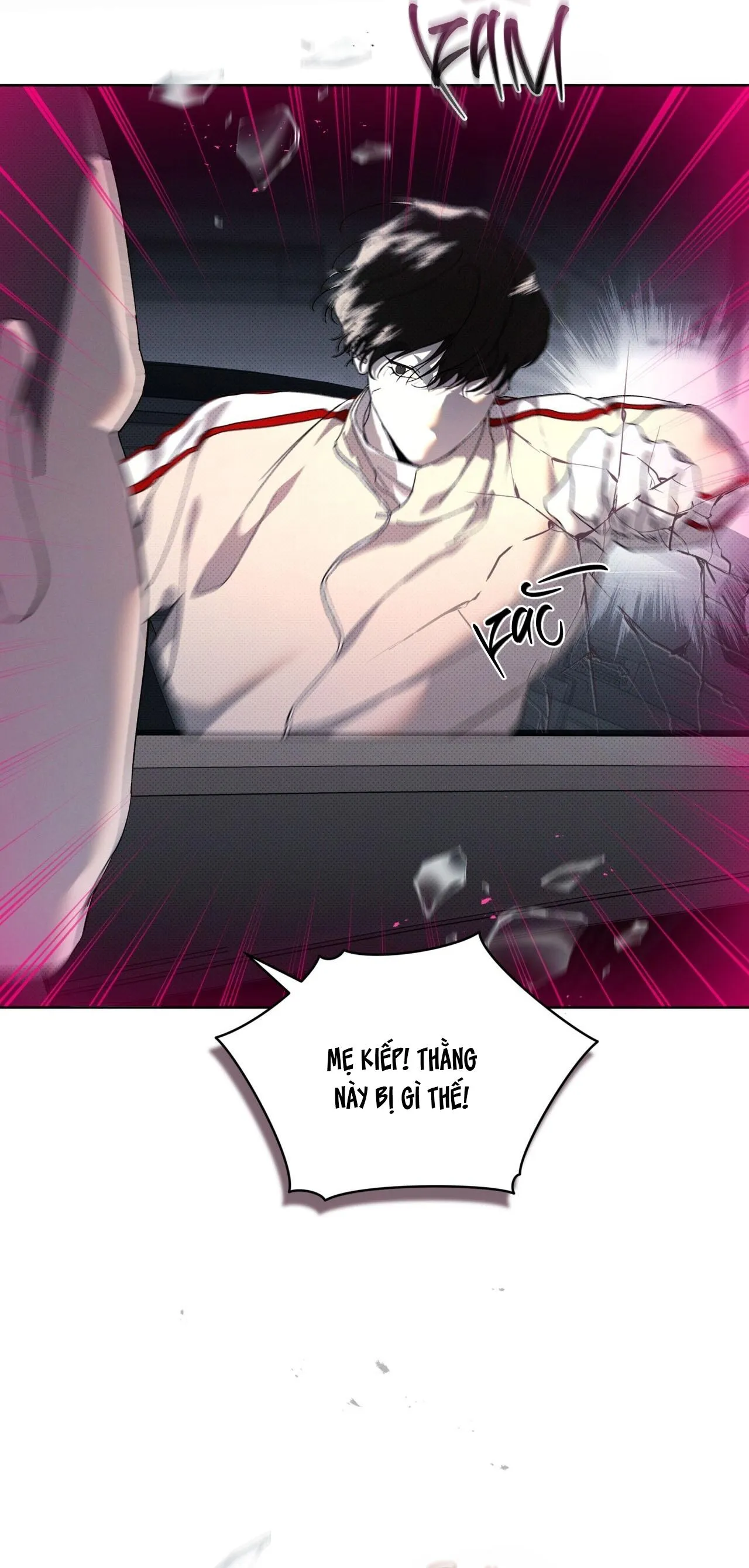 HÌNH THÁI TIẾN HÓA Chapter 12 Trang 39