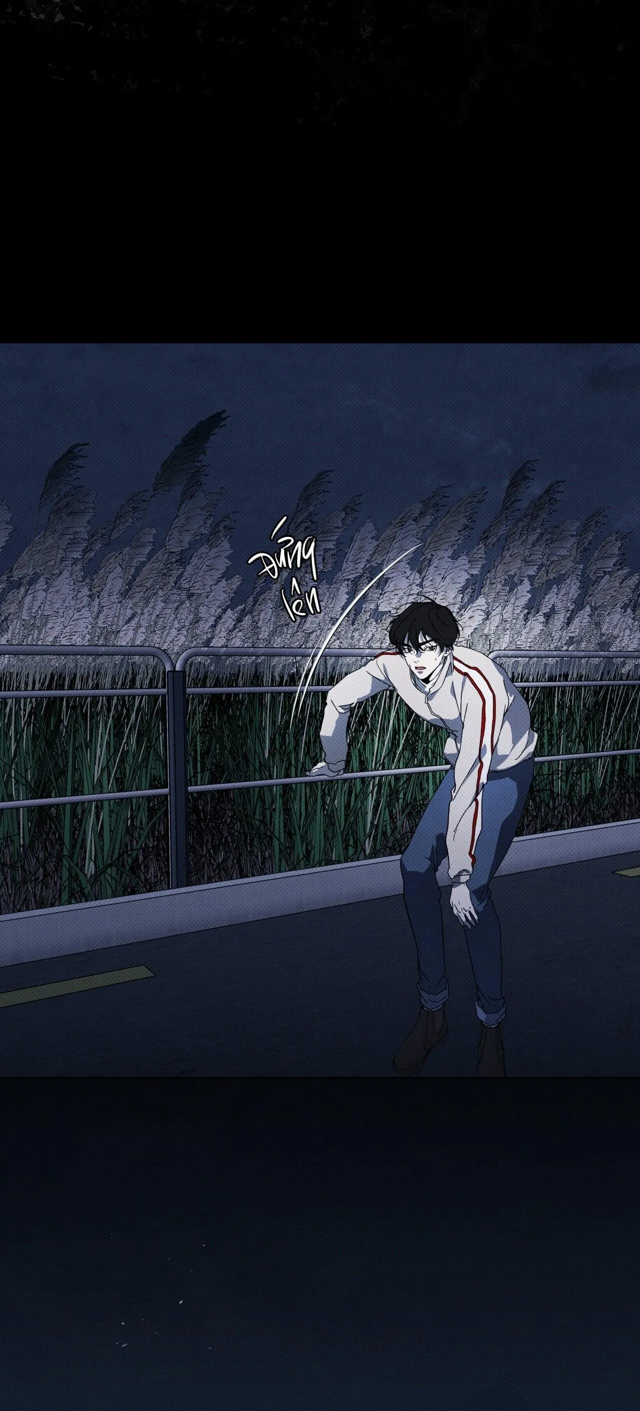 HÌNH THÁI TIẾN HÓA Chapter 13 Trang 7