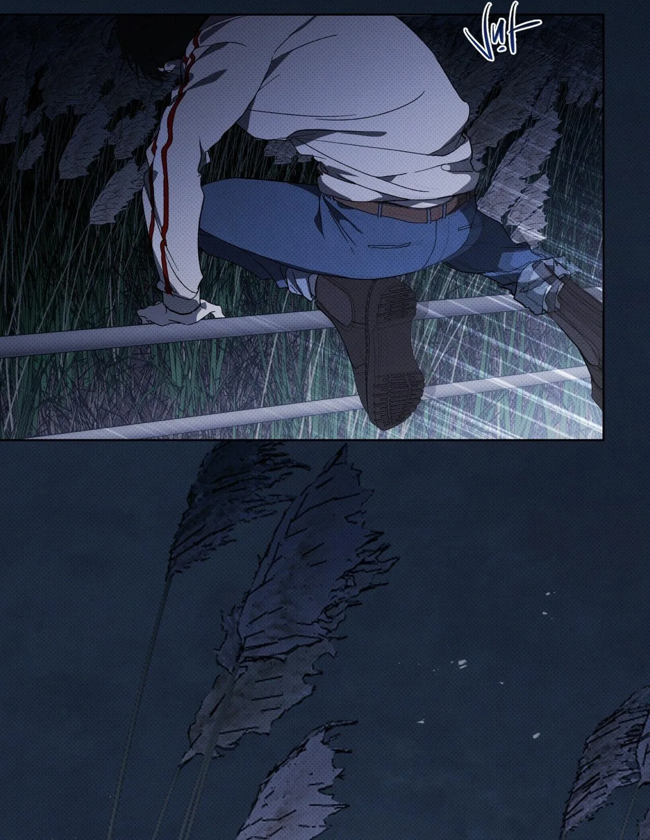 HÌNH THÁI TIẾN HÓA Chapter 13 Trang 8