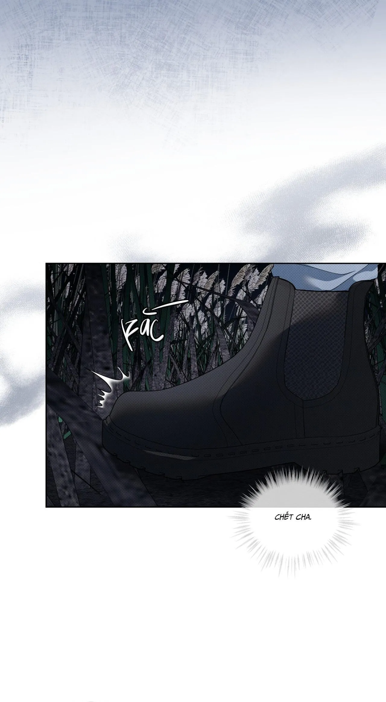 HÌNH THÁI TIẾN HÓA Chapter 13 Trang 12