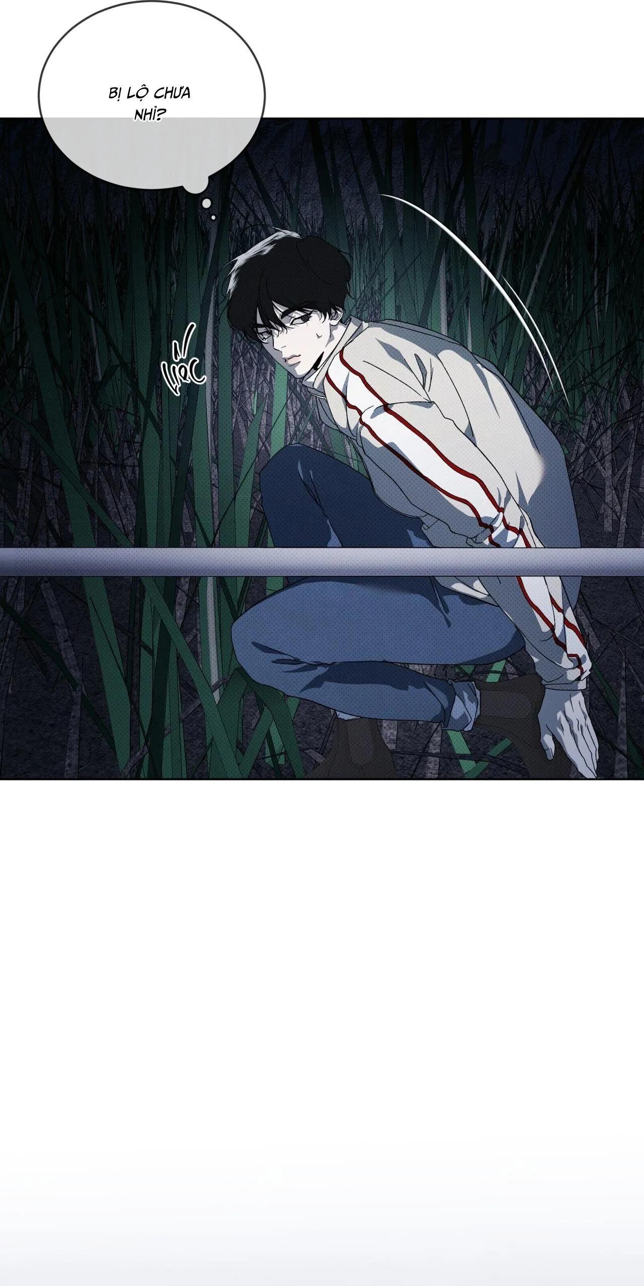 HÌNH THÁI TIẾN HÓA Chapter 13 Trang 13