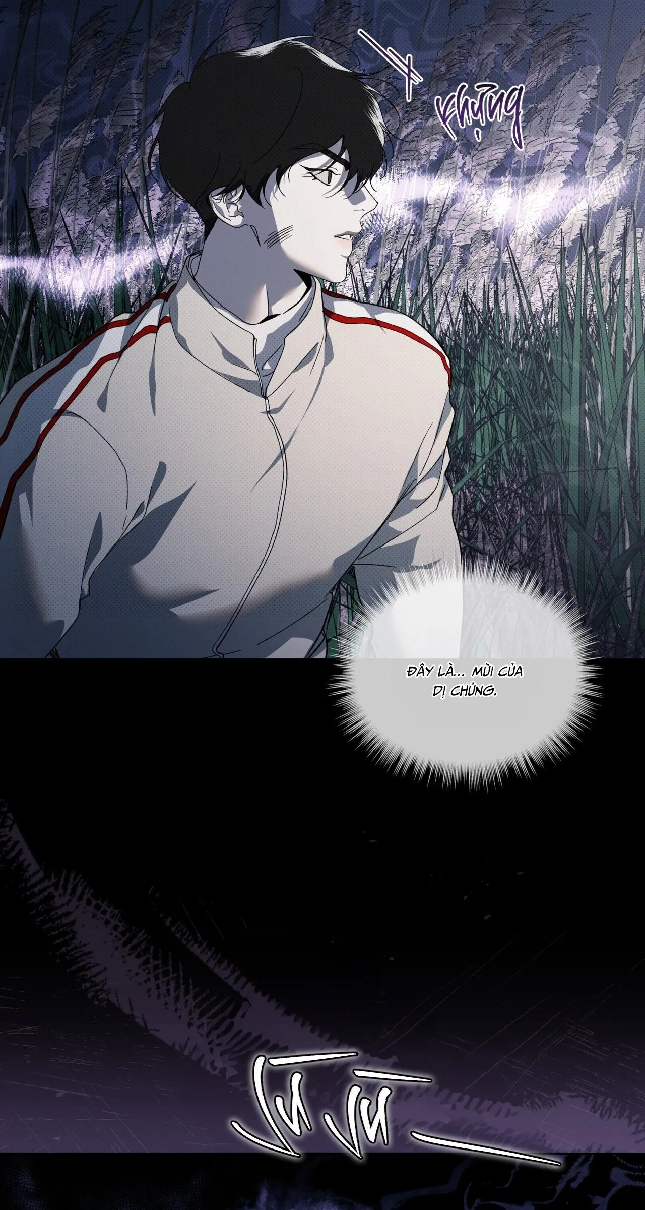 HÌNH THÁI TIẾN HÓA Chapter 13 Trang 17