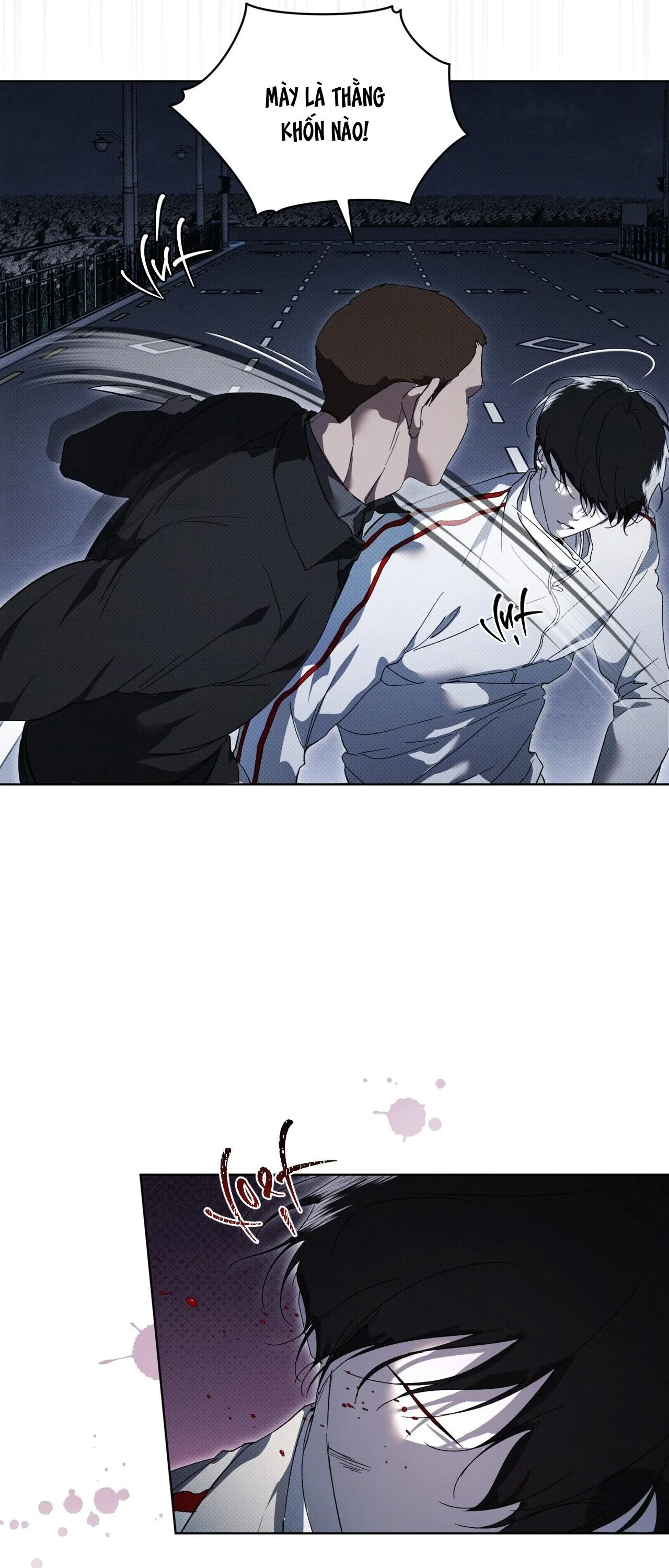 HÌNH THÁI TIẾN HÓA Chapter 13 Trang 23