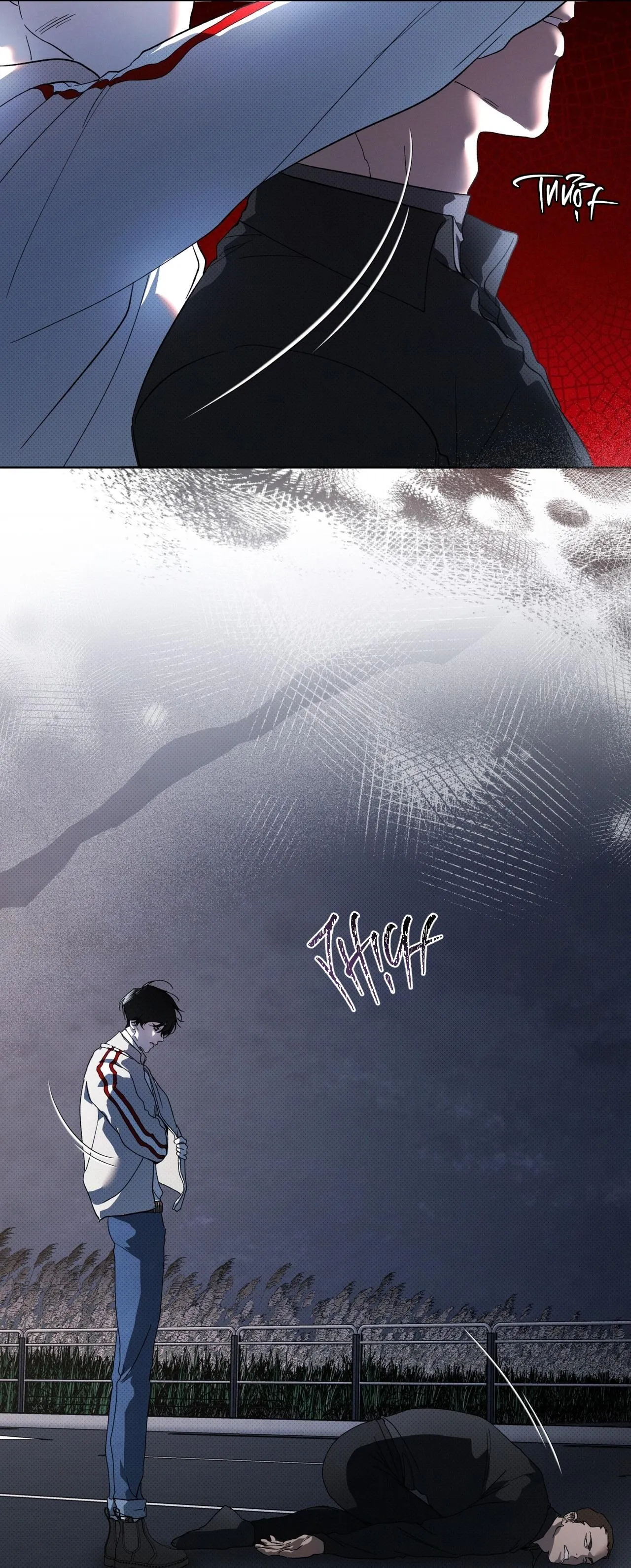 HÌNH THÁI TIẾN HÓA Chapter 13 Trang 30