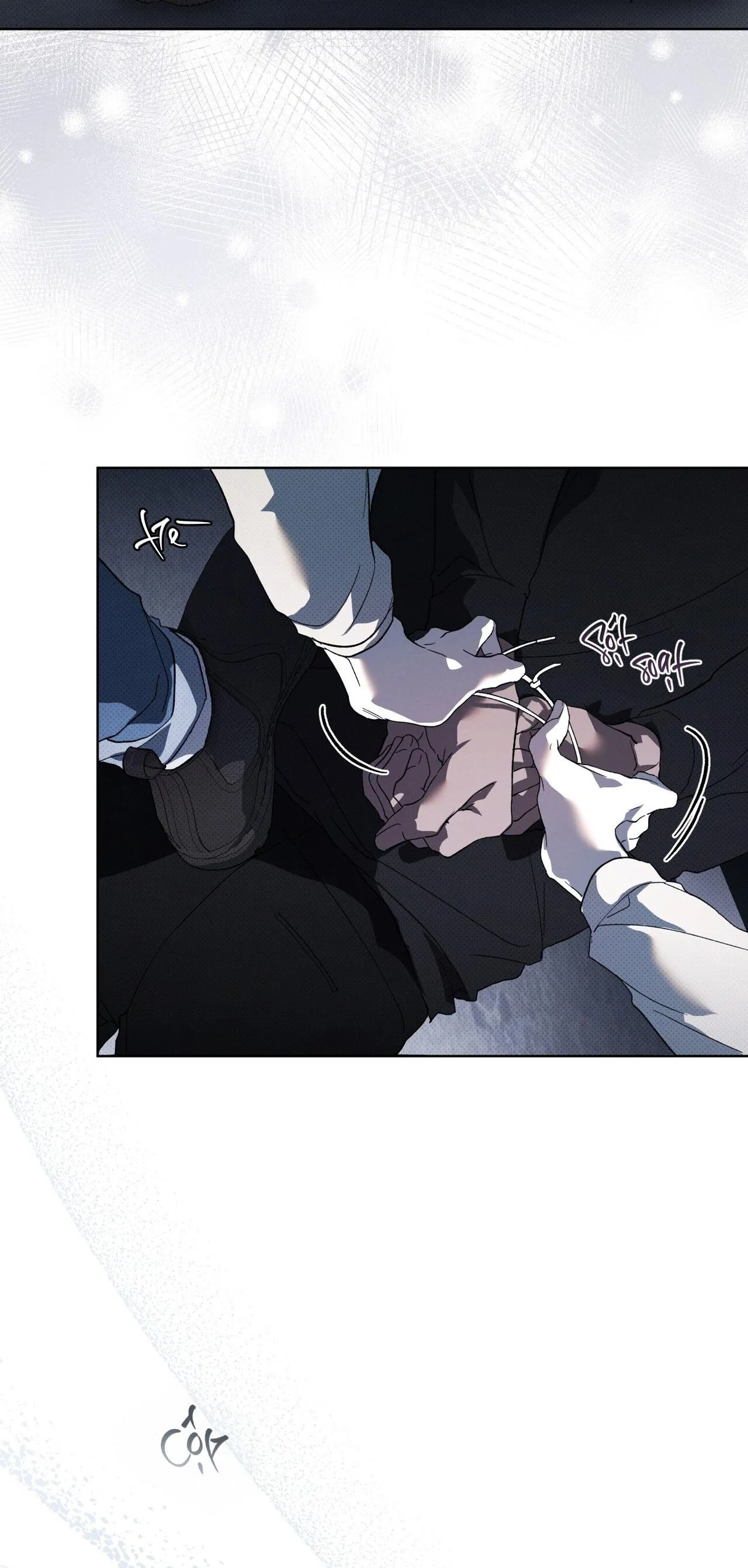 HÌNH THÁI TIẾN HÓA Chapter 13 Trang 31