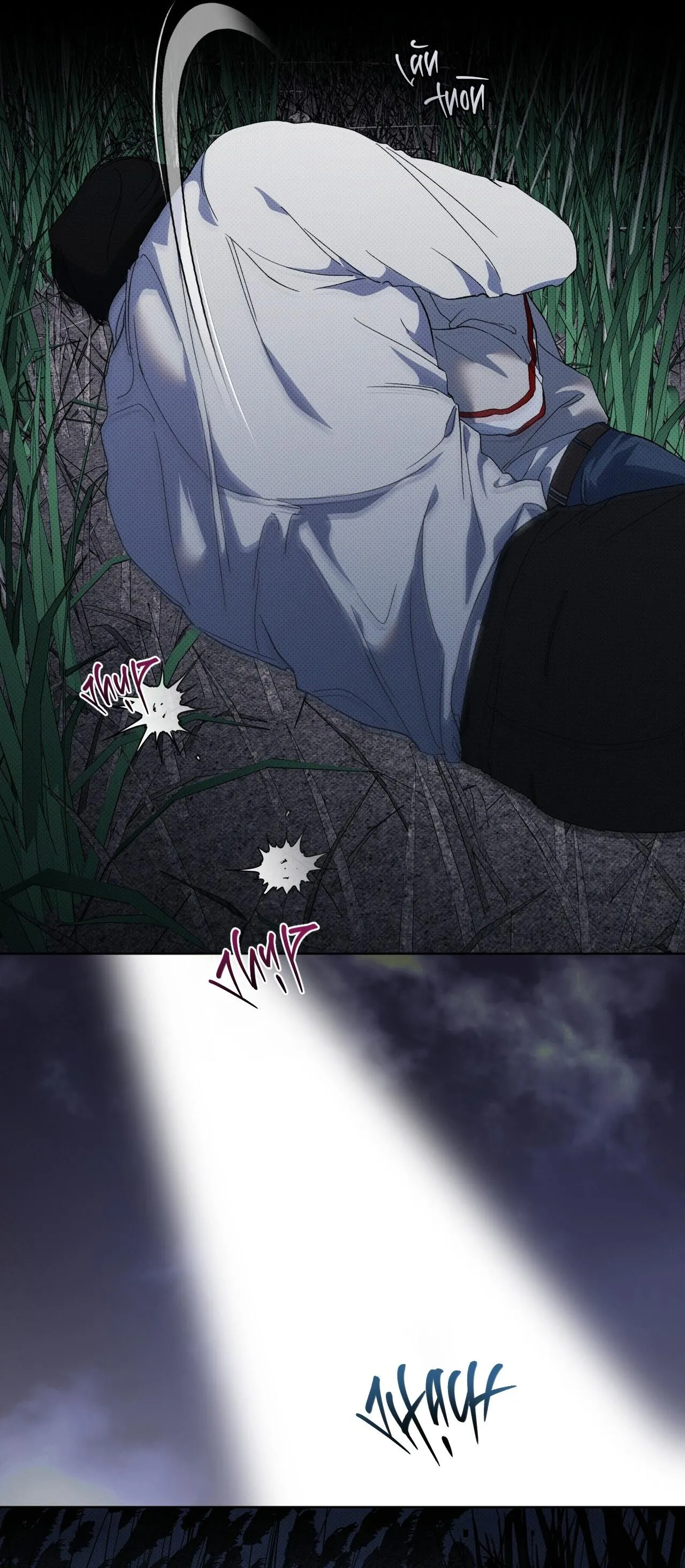 HÌNH THÁI TIẾN HÓA Chapter 13 Trang 47