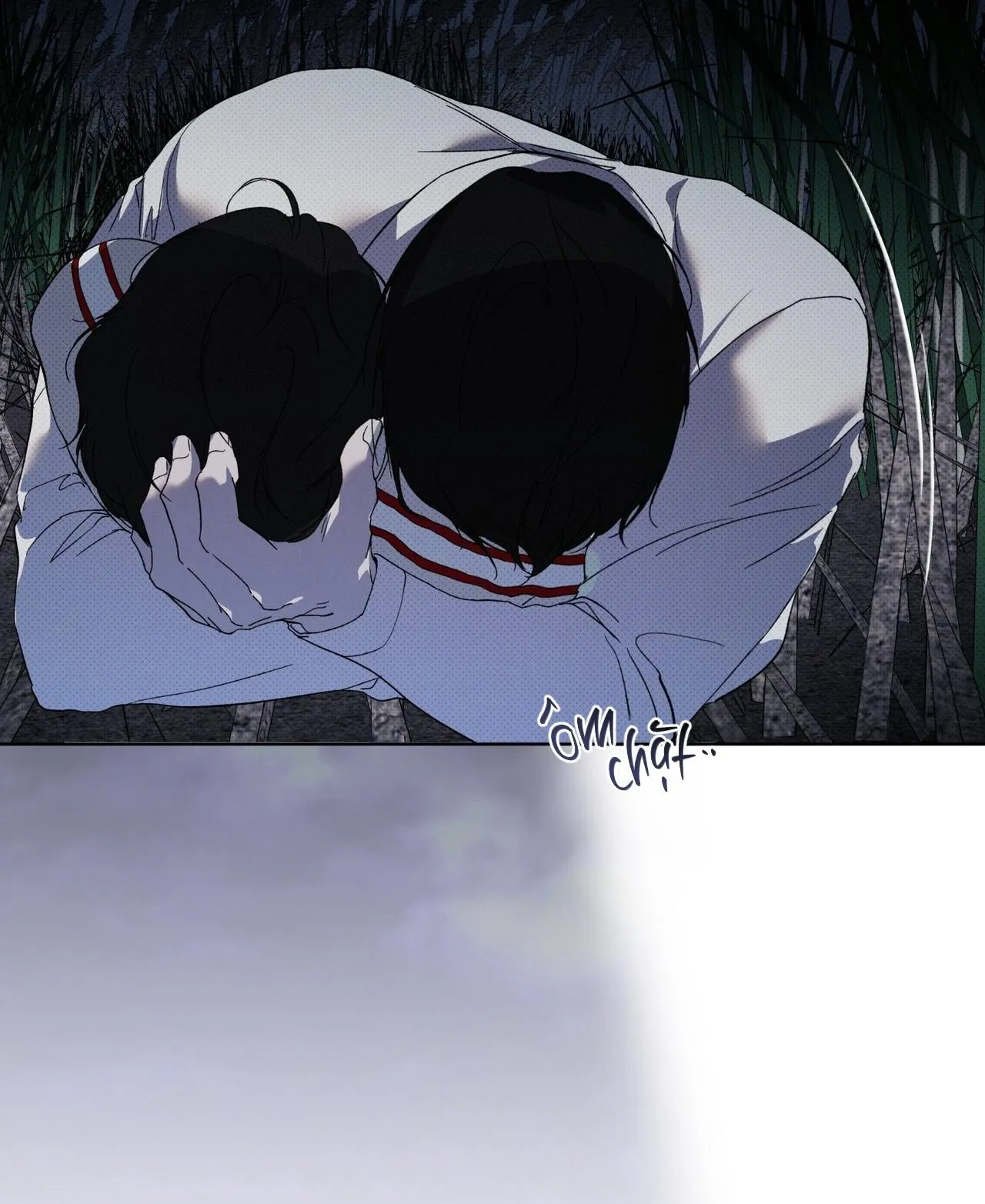 HÌNH THÁI TIẾN HÓA Chapter 13 Trang 48