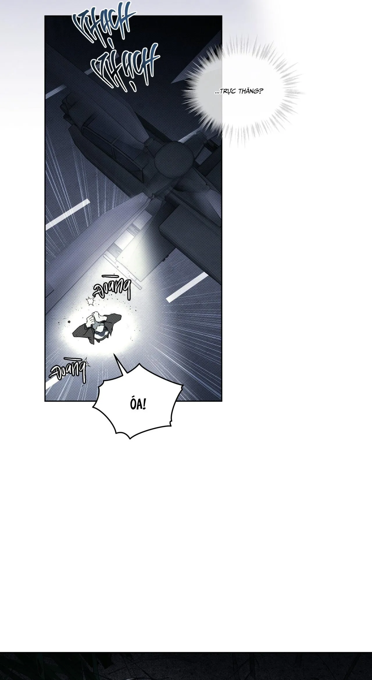 HÌNH THÁI TIẾN HÓA Chapter 13 Trang 49